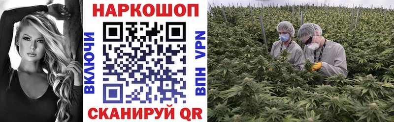Все наркотики Фролово ГАШИШ Галлюциногенные грибы МЕФ