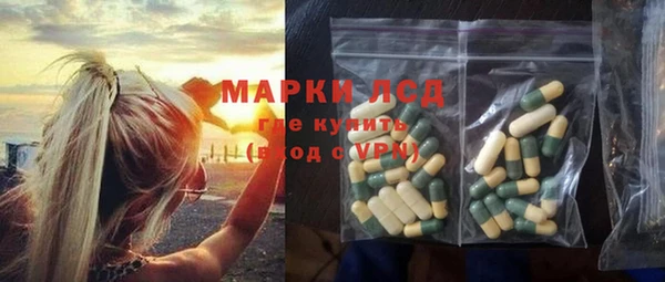 стаф Аркадак