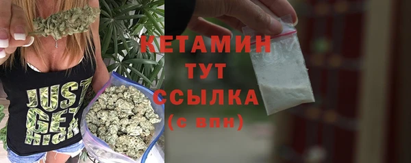 стаф Аркадак