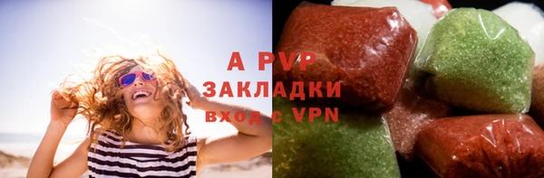 стаф Аркадак
