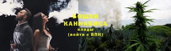 стаф Аркадак