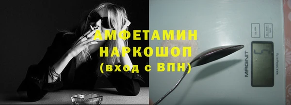 стаф Аркадак