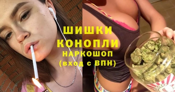 дурь Арсеньев