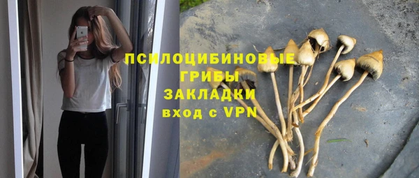 дурь Арсеньев