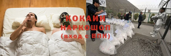 стаф Аркадак
