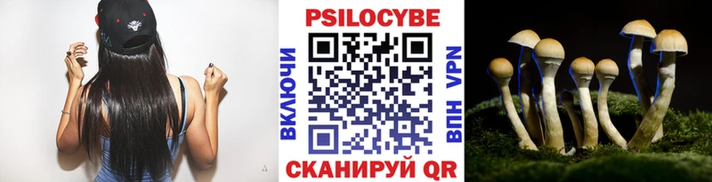 Псилоцибиновые грибы Magic Shrooms  Фролово 